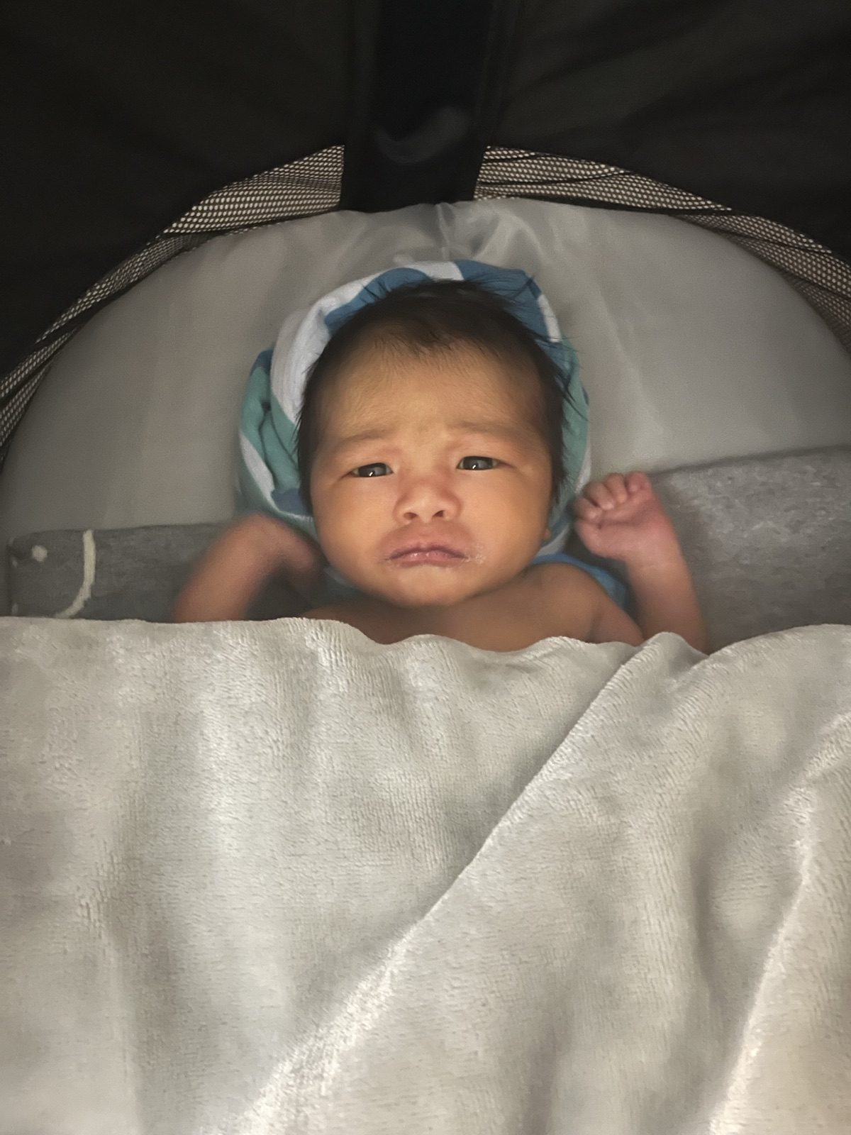 出生后的第一缕阳光,照在这个小家伙身上